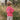 Rhubarb | Lifestyle Back