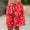 Red and White Anchor