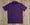 Bermuda Performance Polo | Purple