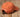 Burnt Orange Hat with White Duck | Southern Marsh Signature Hat | Back