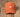 Burnt Orange Hat with White Duck | Southern Marsh Signature Hat