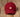 Maroon Hat with White Duck