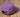 Royal Purple Visor with Orange Duck | Back