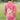 Washed Strawberry Fizz Heather | LIFESTYLE