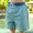 Slate and Mint Dockside | Youth Dockside Swim Trunk | Fractured Lines